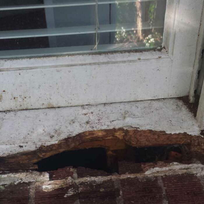 animal damage repair