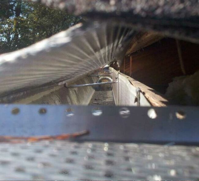 exclusion-wildlife-repair exclusions and repair