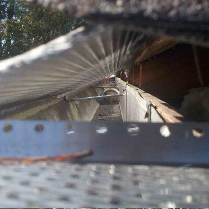 exclusions and repair