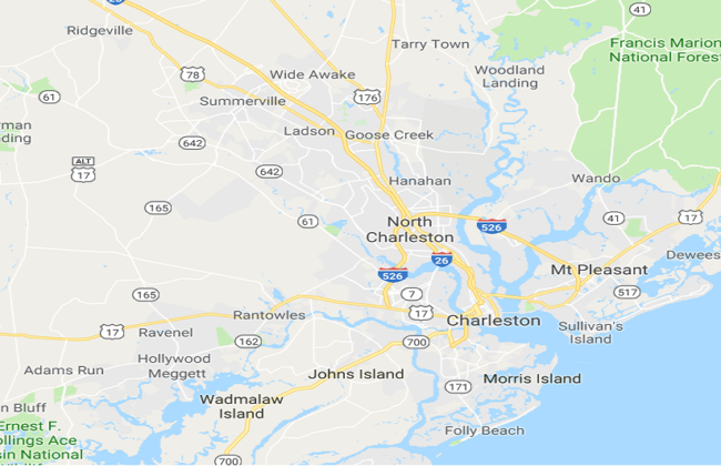 CHARLESTON SC WILDLIFE CONTROL SQUIRREL TRAPPING & REMOVAL SERVICES LAUNCHED