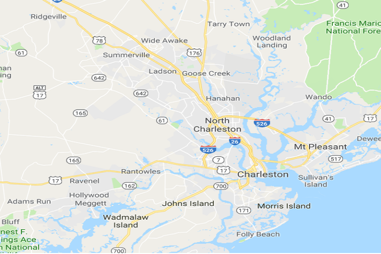 CHARLESTON SC WILDLIFE CONTROL SQUIRREL TRAPPING & REMOVAL SERVICES LAUNCHED