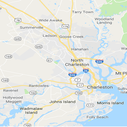 CHARLESTON SC WILDLIFE CONTROL SQUIRREL TRAPPING & REMOVAL SERVICES LAUNCHED